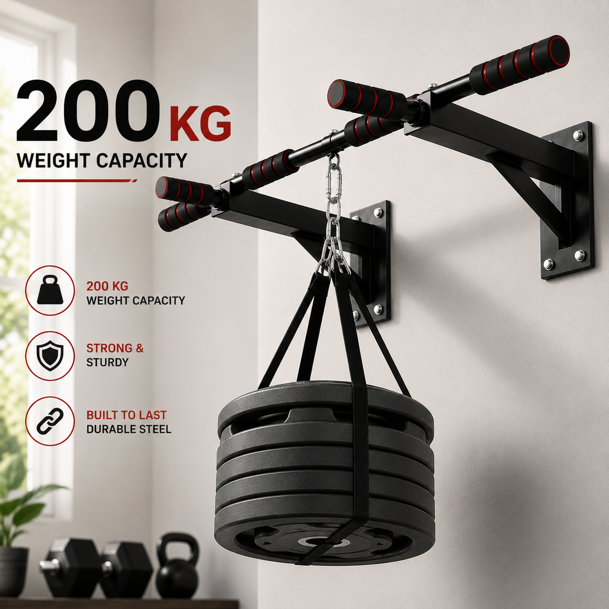 Wall Mounted Pull Up Bar