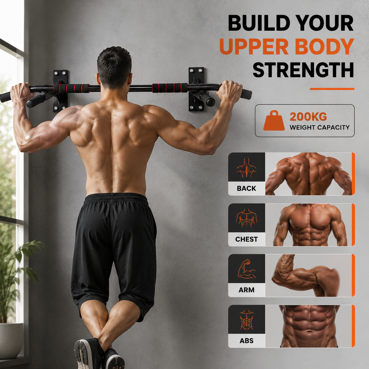 Wall Mounted Pull Up Bar