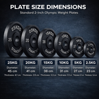 Olympic Cast Iron Weight Plates – 2"